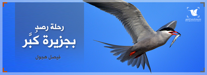 Read more about the article رحلة رصد في جزيرة كُبّر
