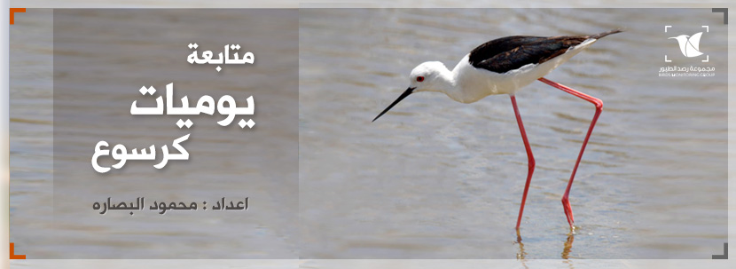 Read more about the article يوميات كرسوع