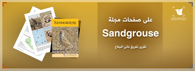 Read more about the article تفريخ ناتئ الجناح على صفحات مجلة Sandgrouse