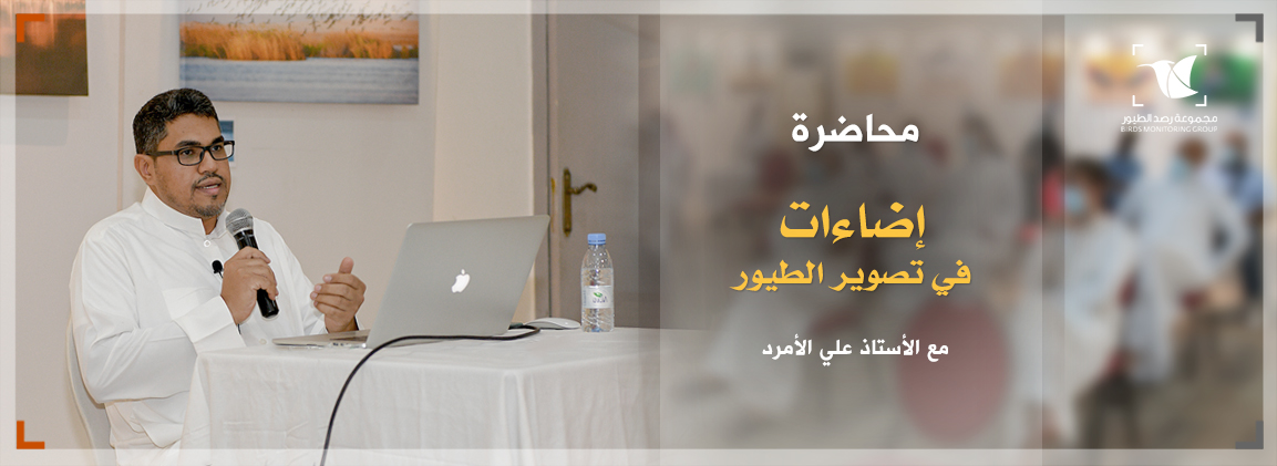 Read more about the article إضاءات في تصوير الطيور