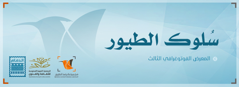 Read more about the article إعلان : معرض سلوك الطيور