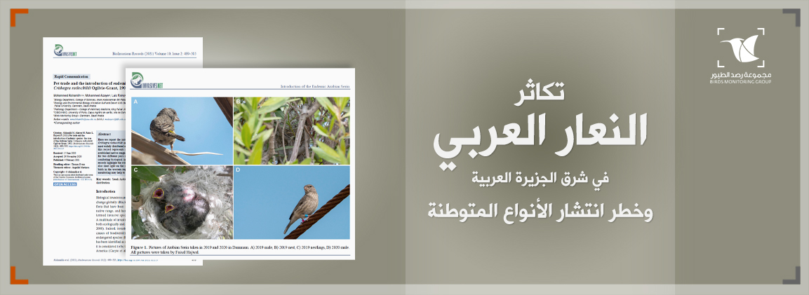 Read more about the article النعار العربي وأثر تكاثره في شرق الجزيرة العربية