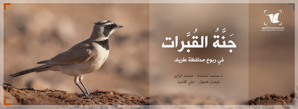 Read more about the article جنة القُبَّرات
