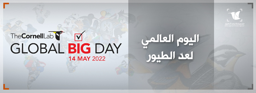 Read more about the article اليوم العالمي الكبير لعد الطيور 2022