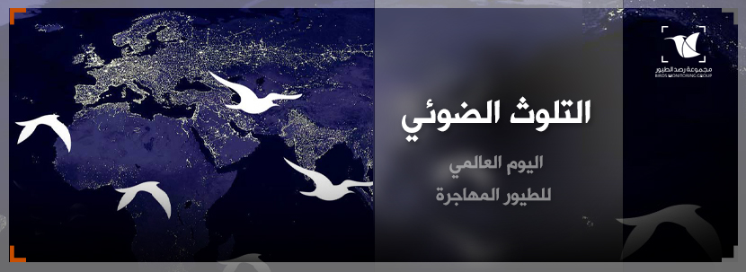Read more about the article اليوم العالمي للطيور المهاجرة والتلوث الضوئي